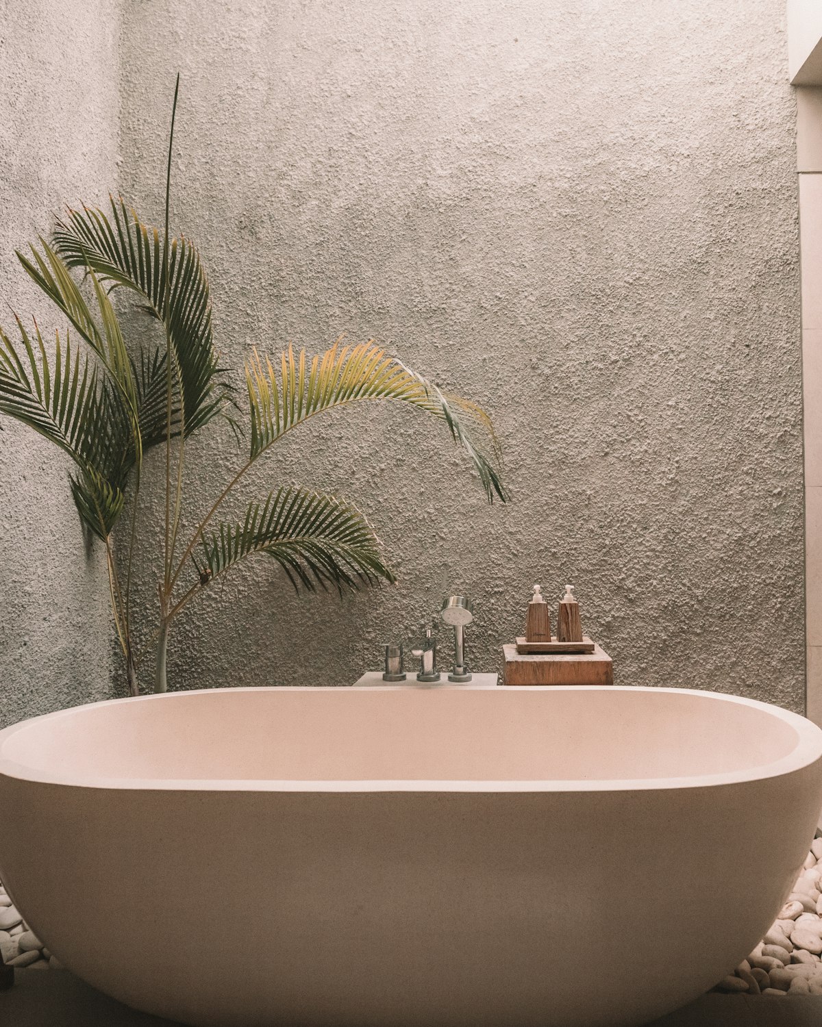 A stone bathtub beneath a rough plaster wall and a single palm